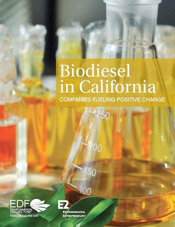 BiodieselRept