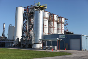 LS9's commercial demonstration facility is located on land leased from a dairy company. On a much larger scale, the facility replicates processes that were developed in labs.