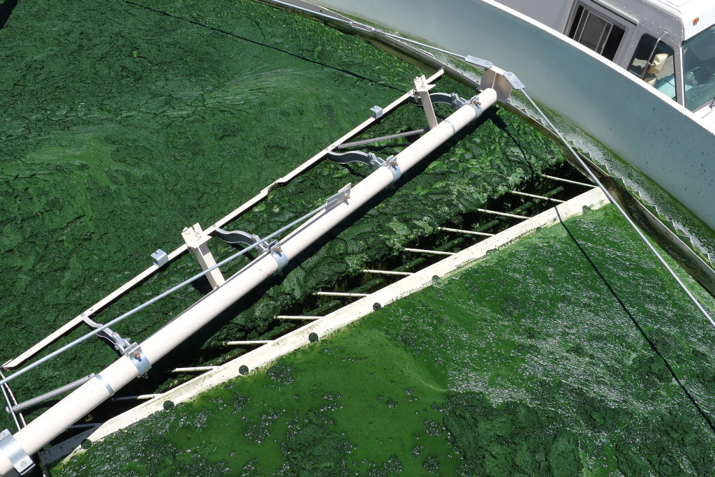 The harvest system at Sapphire’s “Green Crude Farm” undergoes a shakedown process to confirm the viability of the demonstration algae farm.