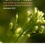Planting Fuels: How California Can Boost Local, Low-Carbon Biofuel Production