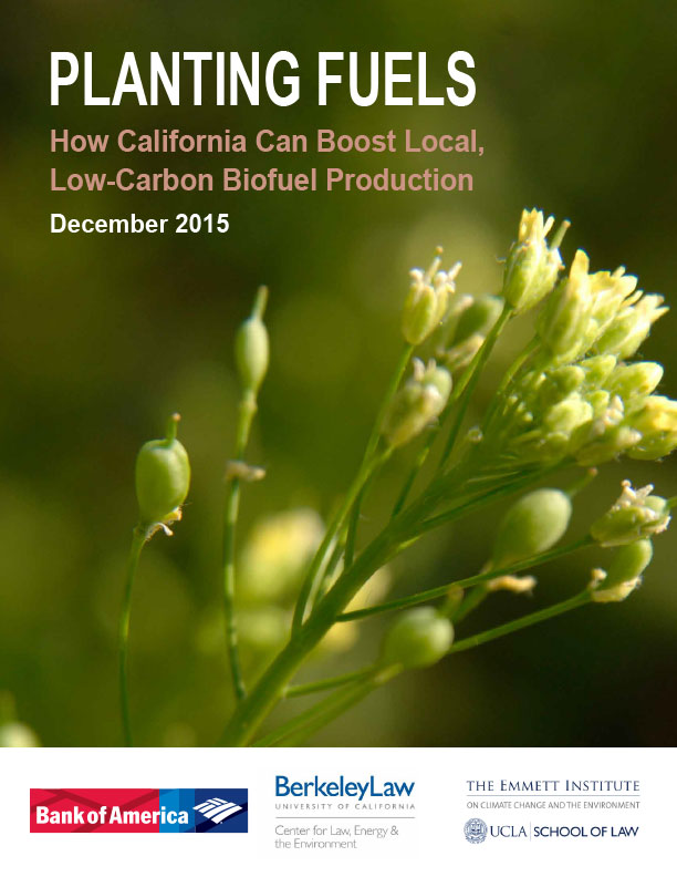 Planting Fuels: How California Can Boost Local, Low-Carbon Biofuel Production